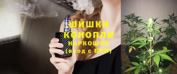 тгк Новодвинск