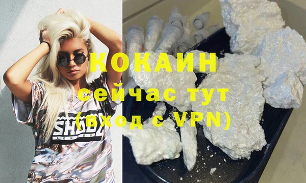 бошки Белокуриха