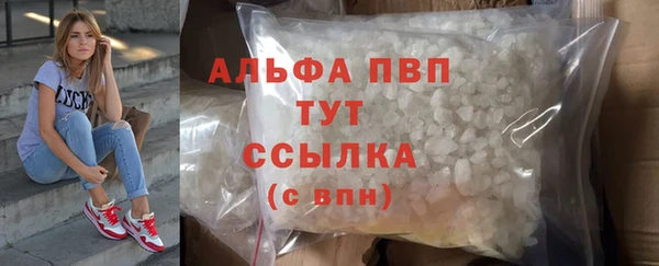 бошки Белокуриха
