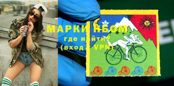 тгк Новодвинск