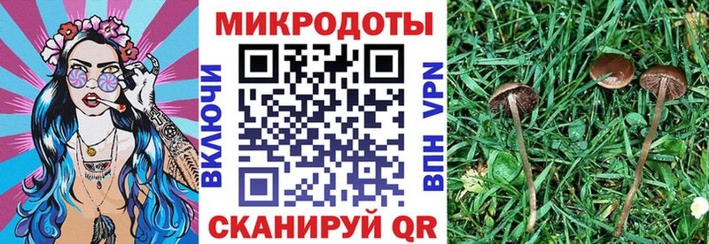 как найти наркотики нарко площадка состав Псилоцибиновые грибы GOLDEN TEACHER Сретенск